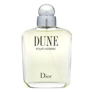 Christian Dior Dune pour Homme toaletní voda pro muže 100 ml